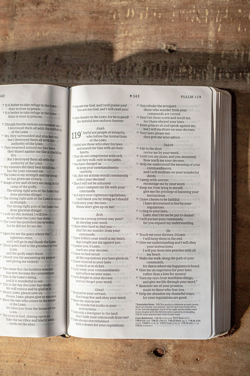 Handbound Thinline Bible - NLT