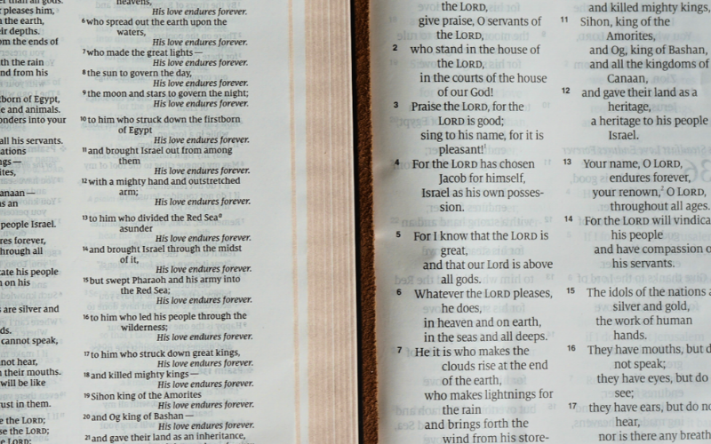 Thinline vs. Large Print Bible | Narrow Gate Leather